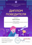 Киселев Артём стал победителем олимпиады по информатике на платформе Учи.ру